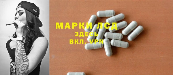 индика Пересвет