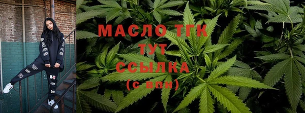 гидропоника Алзамай