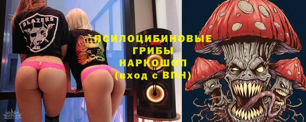 гидропоника Алзамай